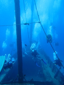 Diving around Maui